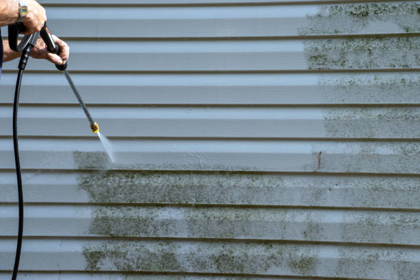 Best Storm Damage Siding Repair  in Flemington, NJ